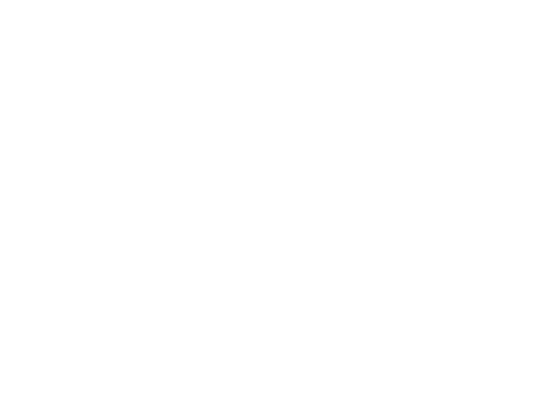 team icon